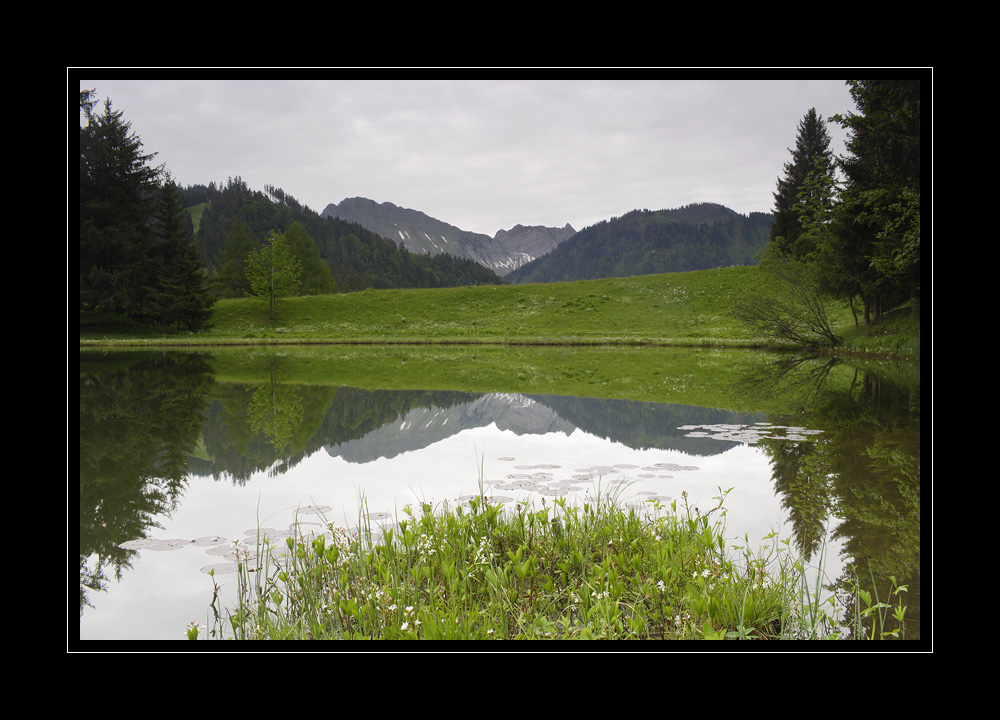 Lac des Joncs #14416