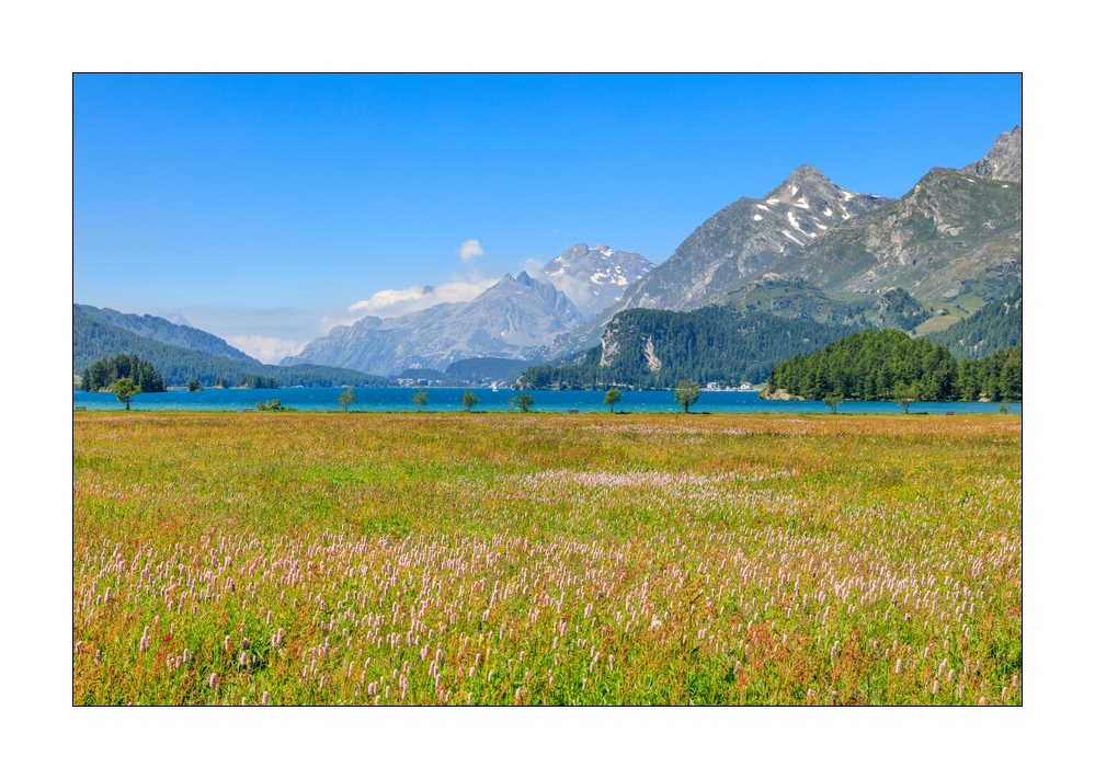 Silsersee #5ds00194