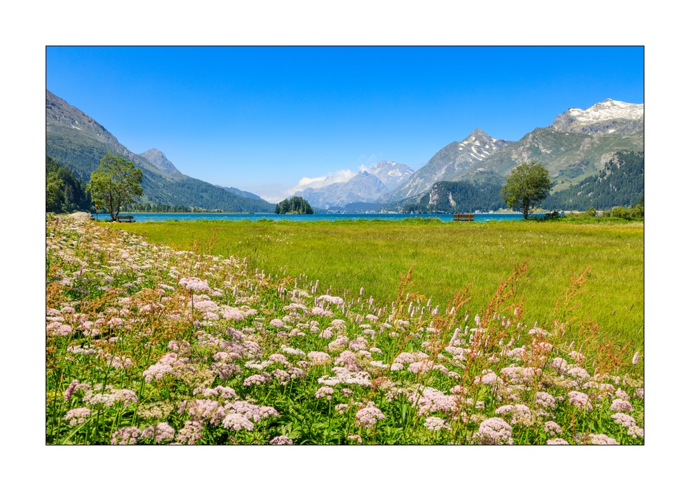 Silsersee #5ds00200
