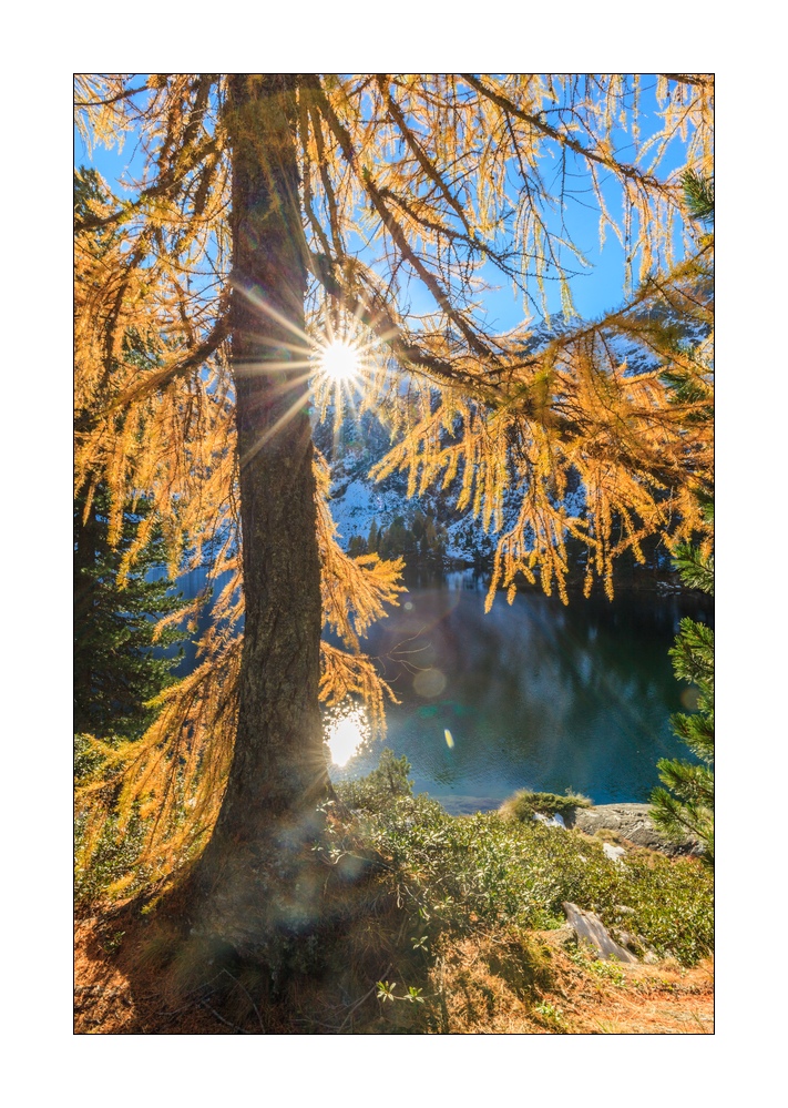 Bergsee Lagh Cavloc #33896
