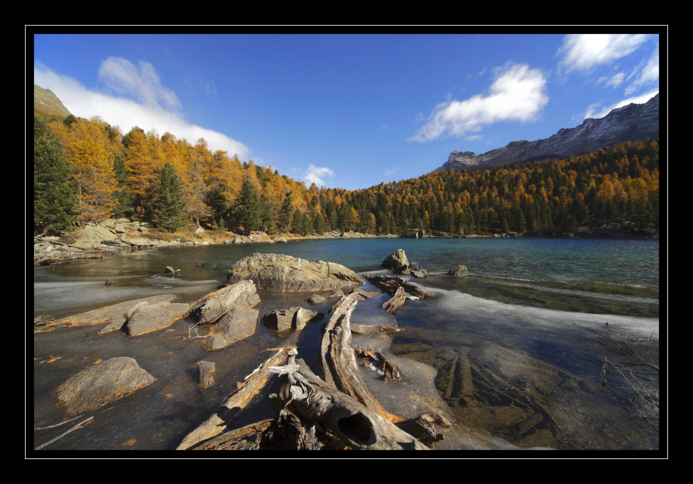 Saoseosee #11354