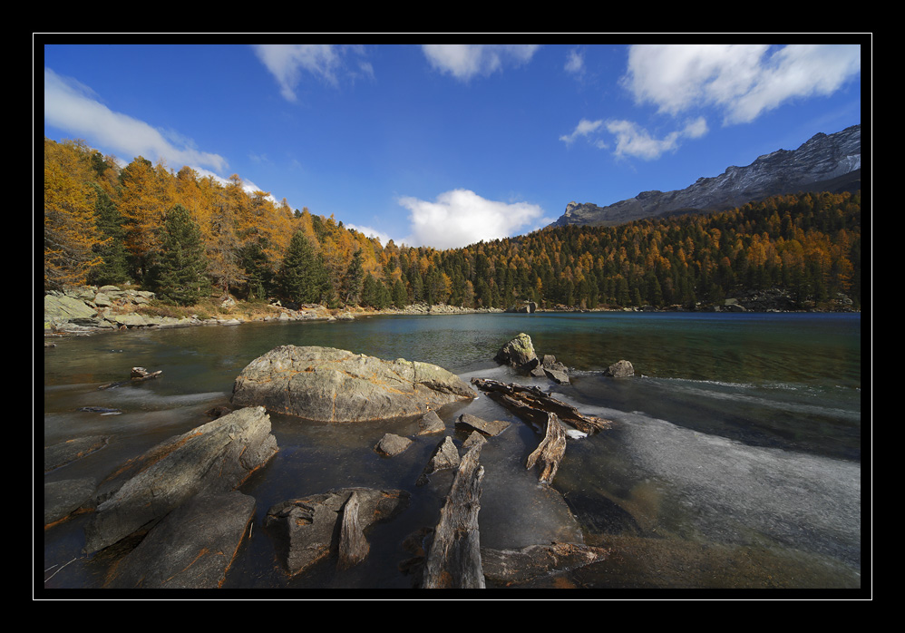 Saoseosee #11366