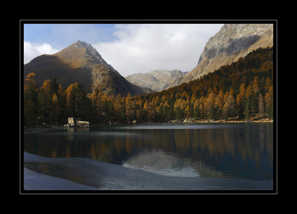 Saoseosee #11401