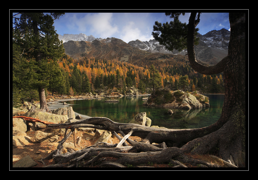 Saoseosee #11420