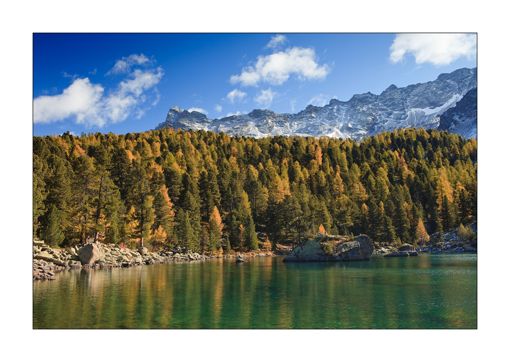 Saoseosee #25122