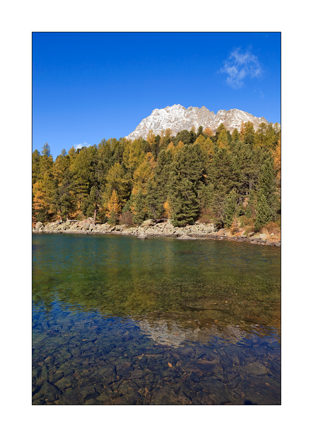 Saoseosee #25158