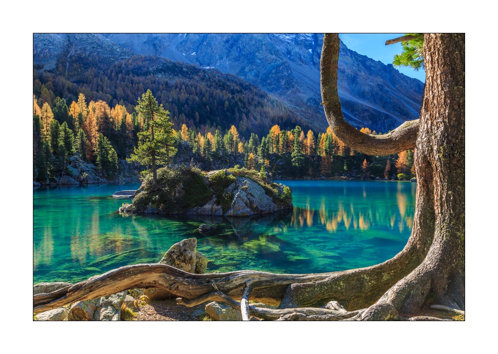 Saoseosee #37505