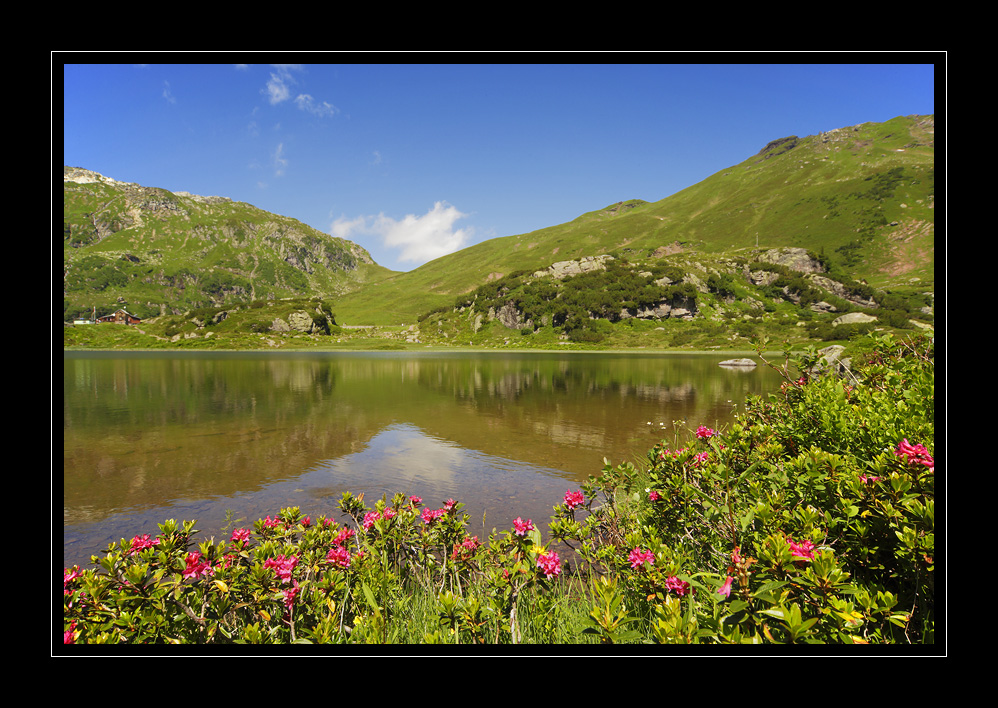 Murgsee #15712