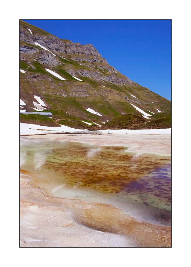 Isental Oberbolgen #21262