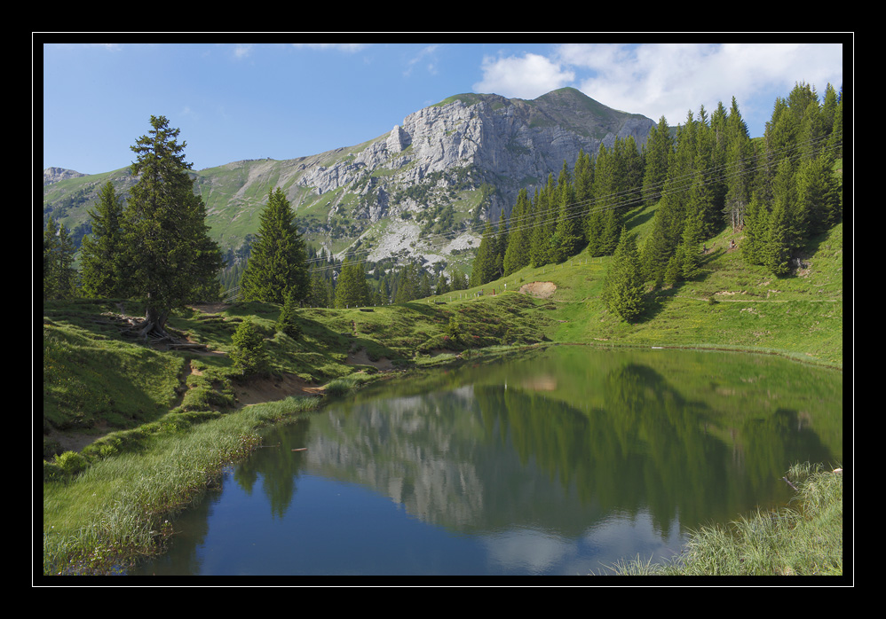 Fleschsee #15395