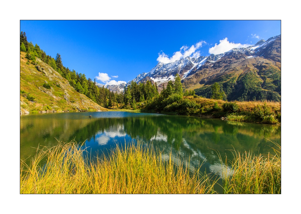 Schwarzsee #5D3 01356