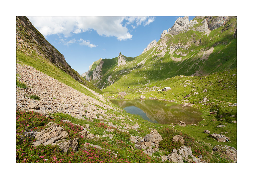 Meglisalp Oberchellen #22391
