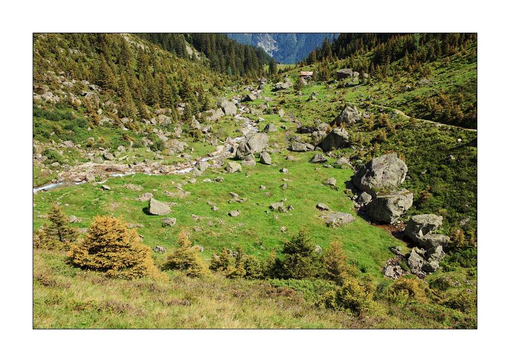 Leitschachbach #23069