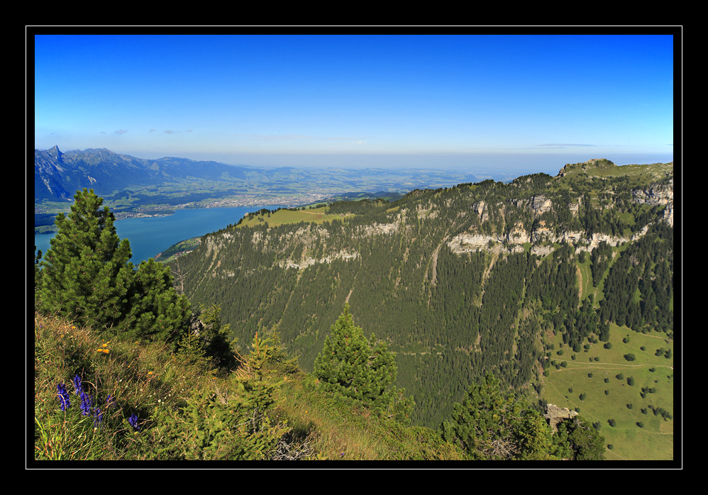 Niederhorn #8841