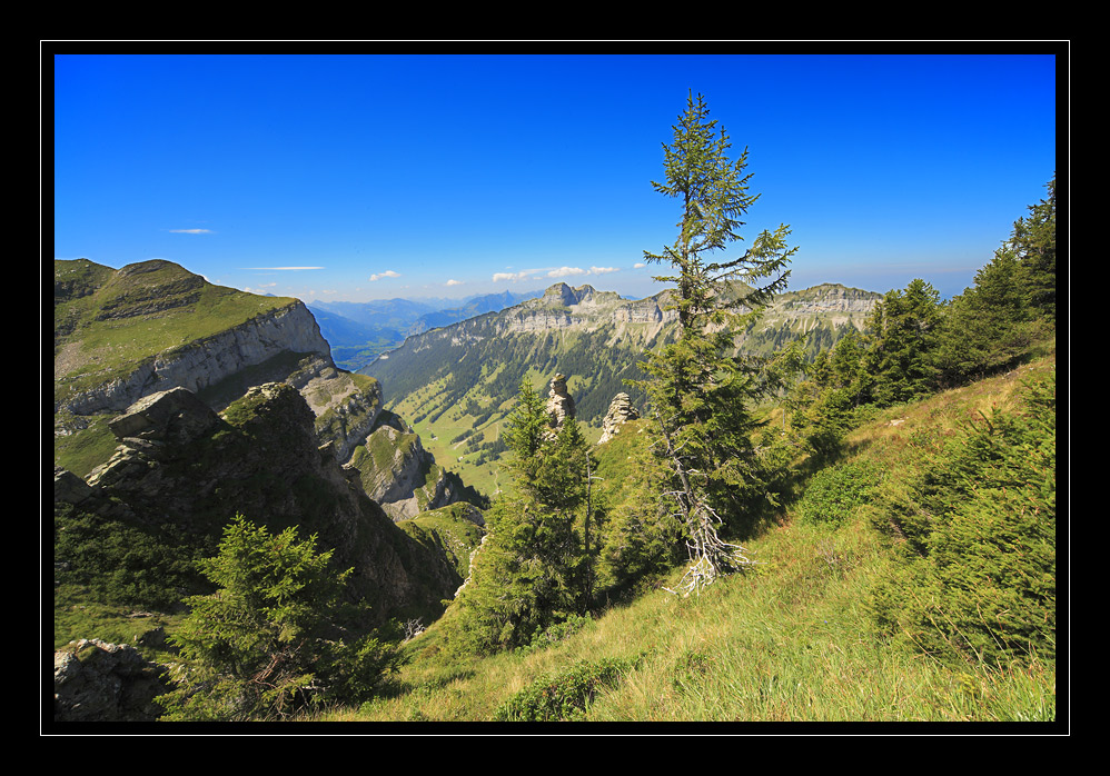 Niederhorn #8858