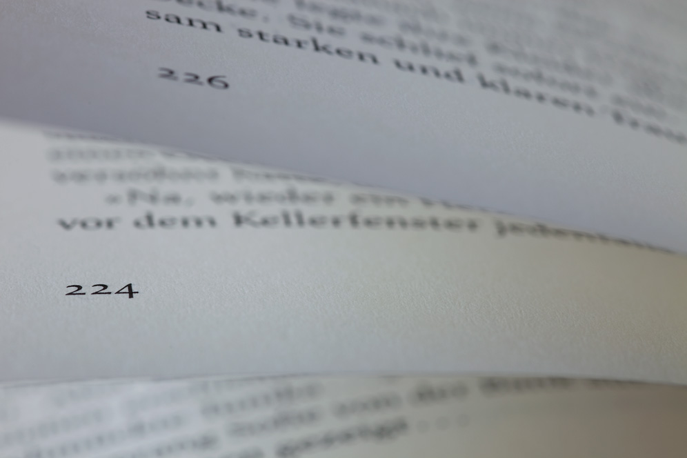 Buchseite 224 #26387