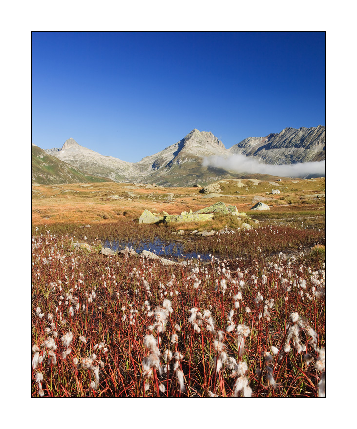 Oberalp #23392