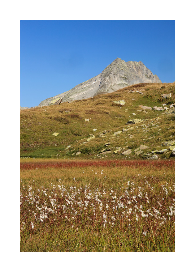 Oberalp und Piz Tiarms und Fedenstock #23420