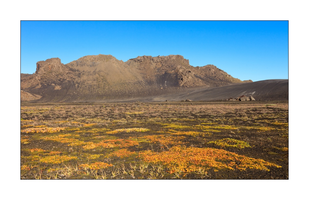 Island Hochland #33562