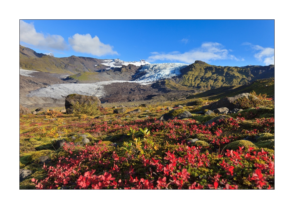 Island Herbstfarben #34371
