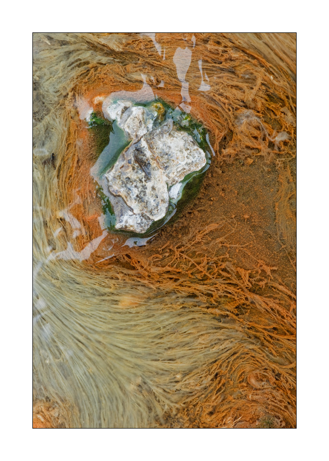 Algen in heisser Quelle #23934