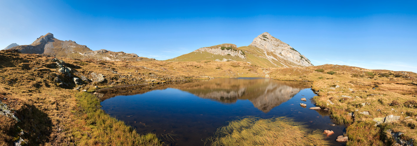 Margelchopf Pano #24541