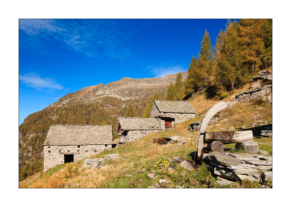 Alp Efra #24781