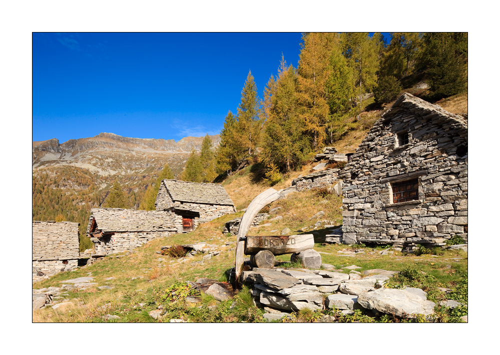 Alp Efra #24787