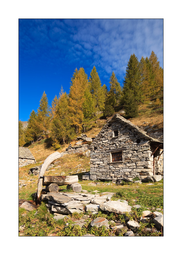 Alp Efra #24790