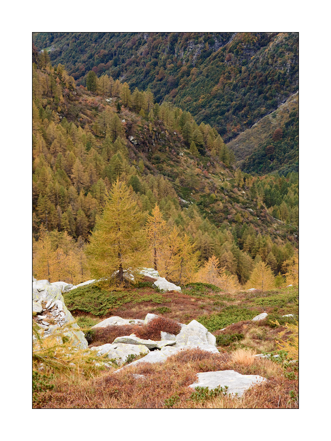 Val Efra #24834