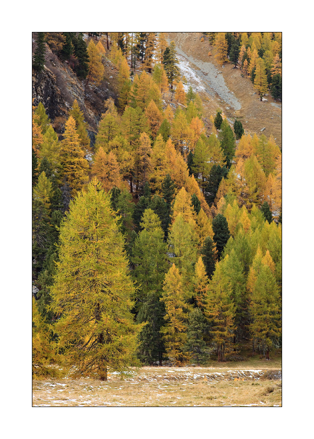 Val Roseg #25061