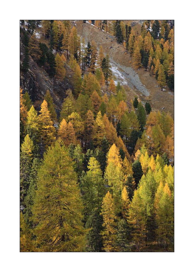 Val Roseg #25064