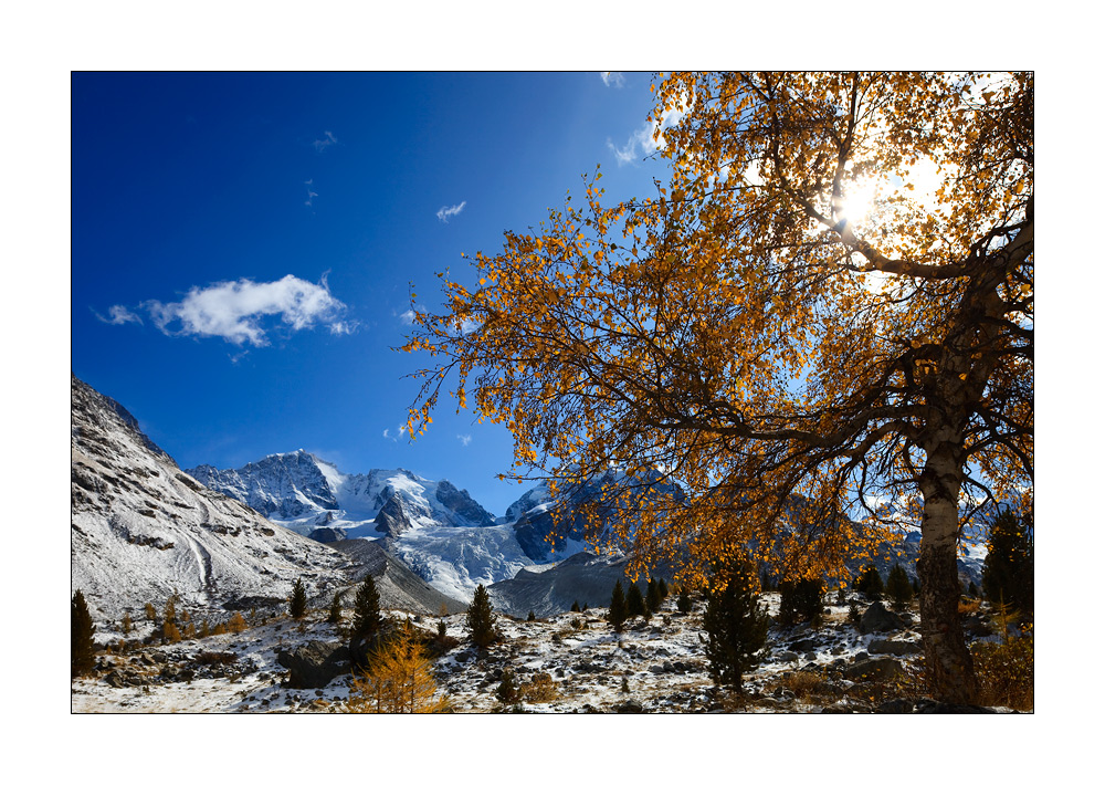 Roseggletscher #24988