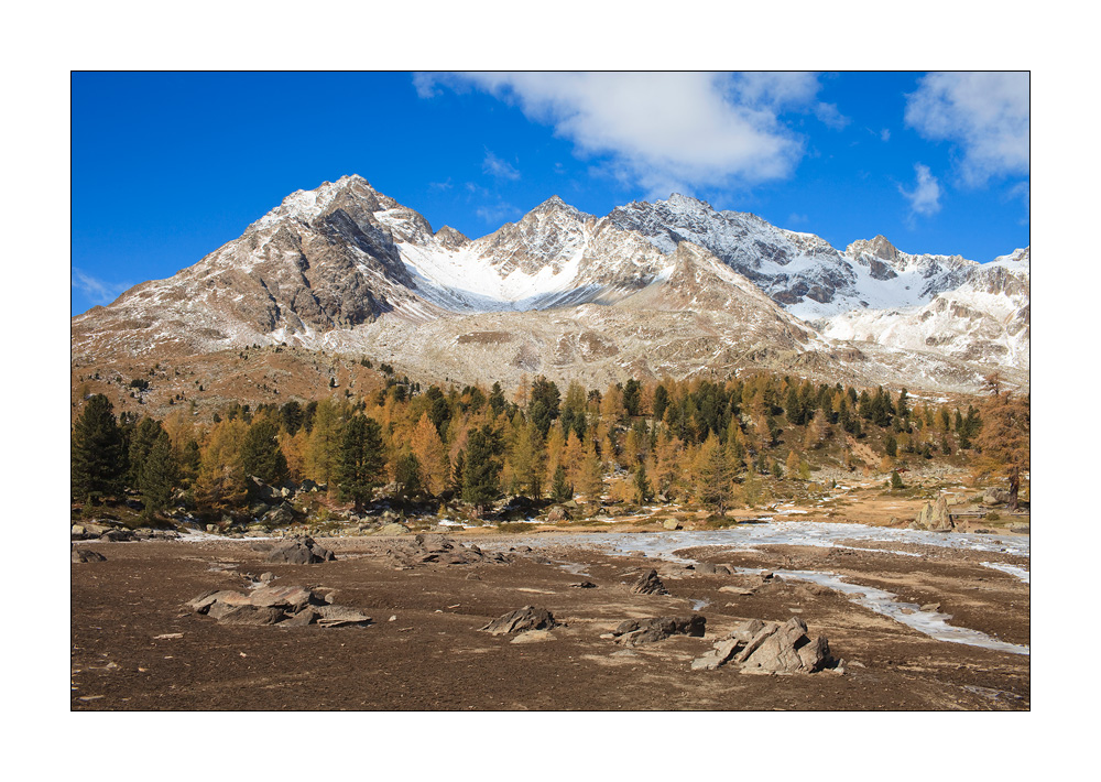 Val Viola #25168