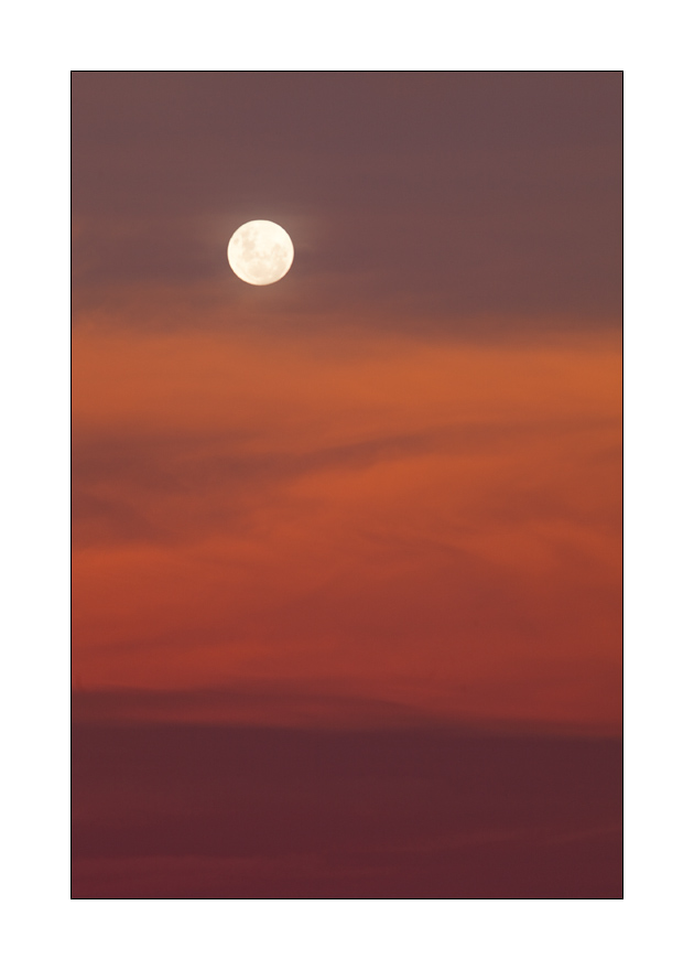 Mond am Abendhimmel #28525