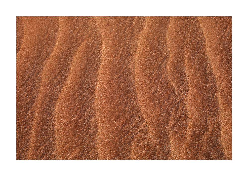 Sandspuren #28436