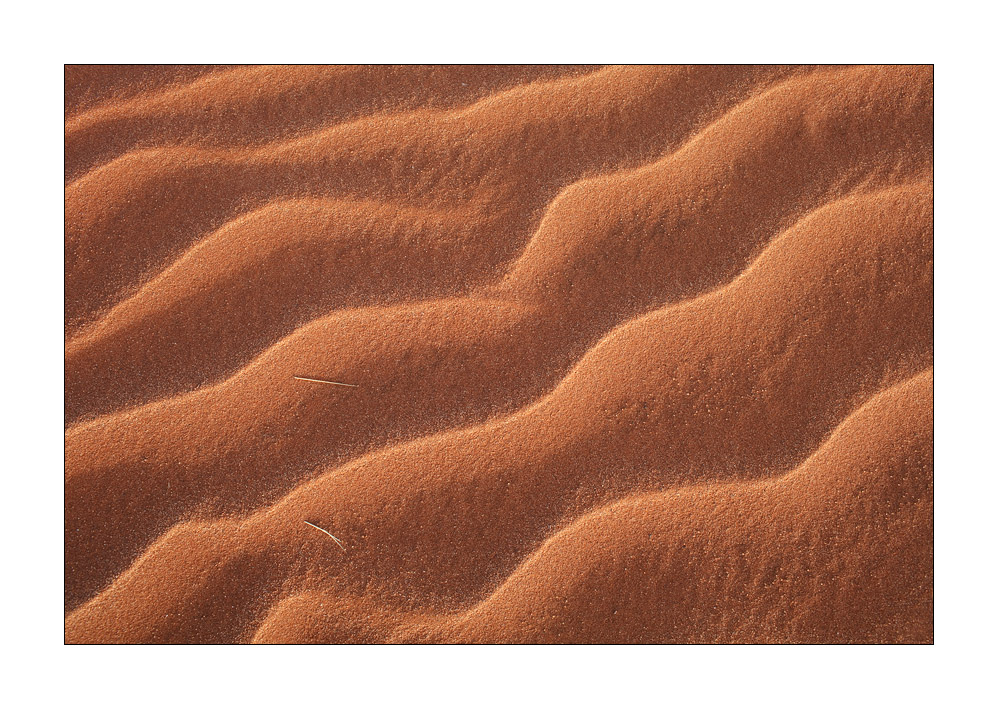 Sandspuren #28442