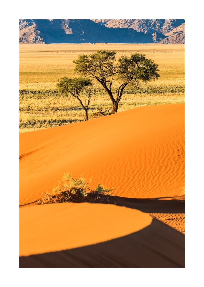 Sandduenen #35094