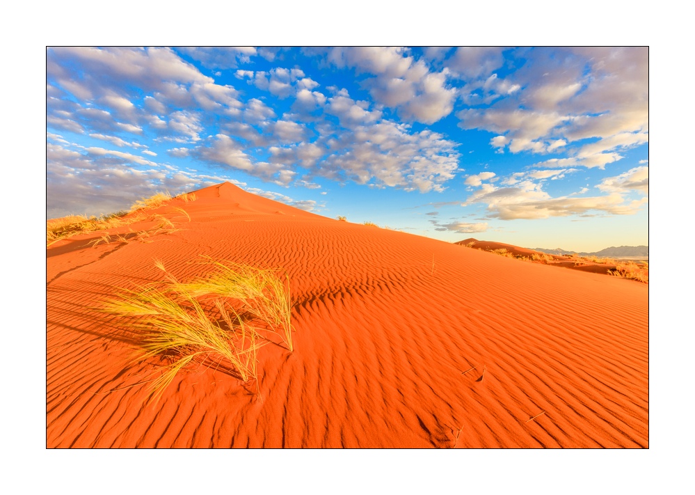 Sandduenen #35121