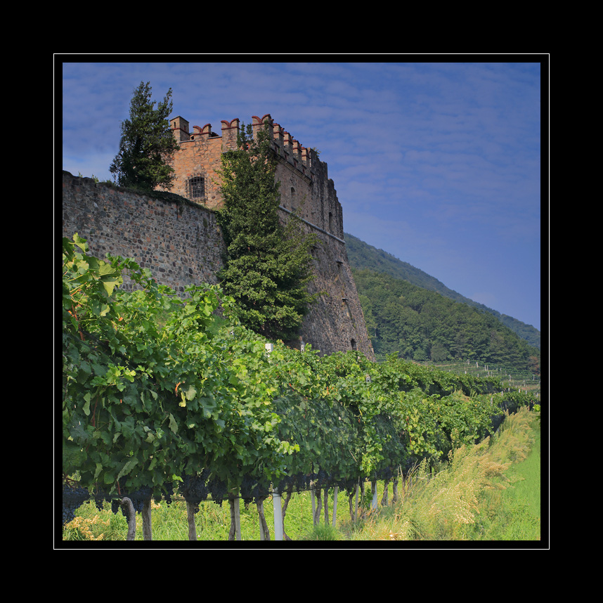 Burg Reben #3853