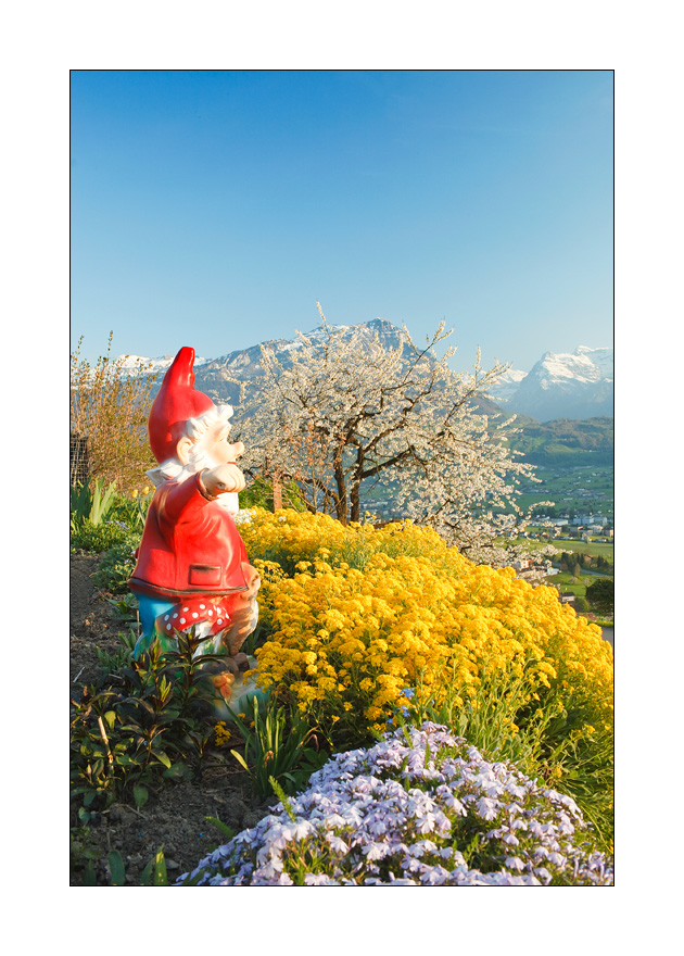 Gartenzwerg #29051
