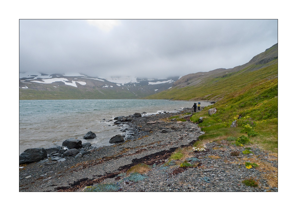 Hornstrandir #L00064
