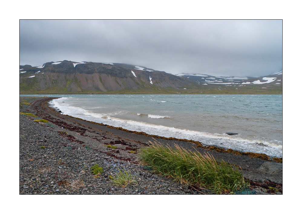 Hornstrandir #L00067