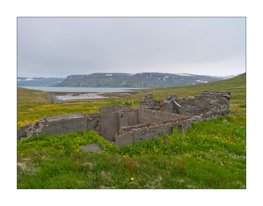 Hornstrandir #L00044