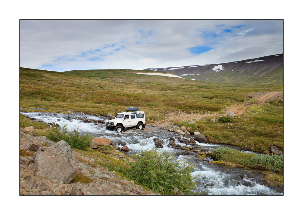 Hornstrandir #29305