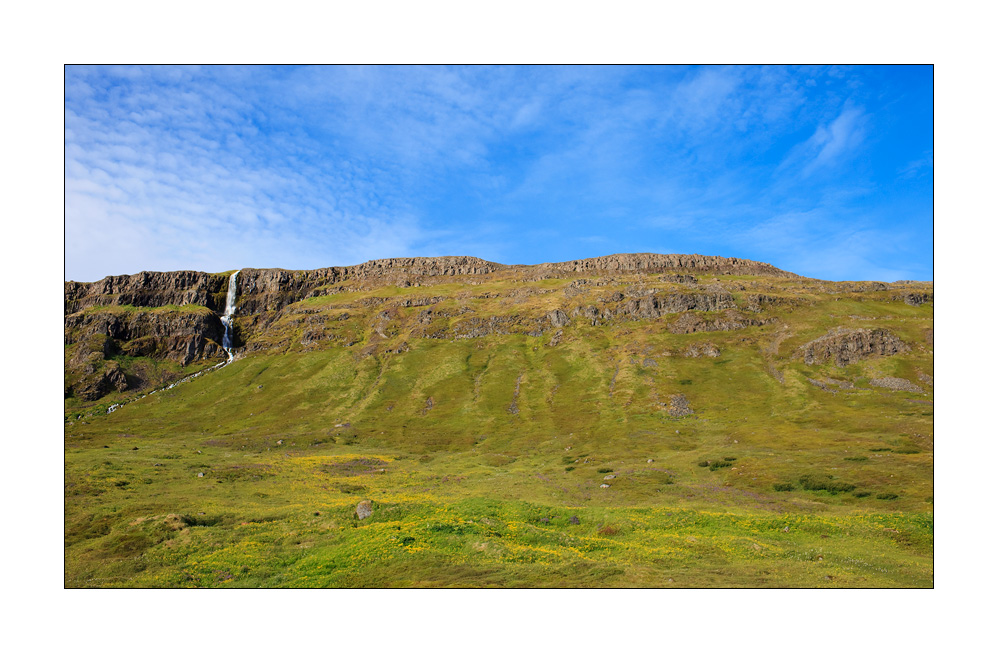Hornstrandir #29429