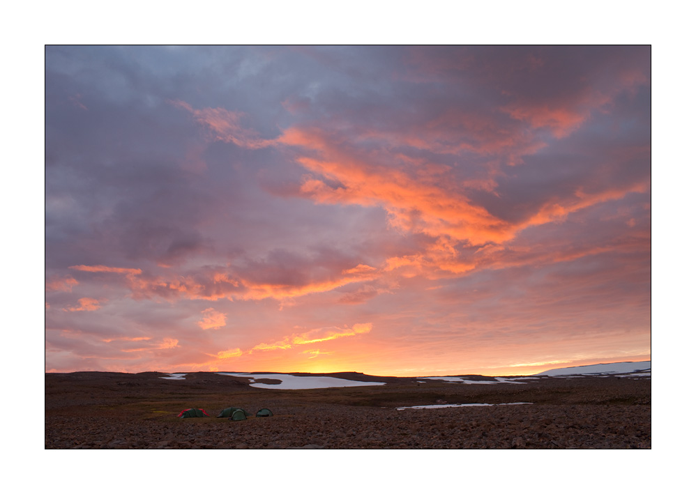 Hornstrandir #29326