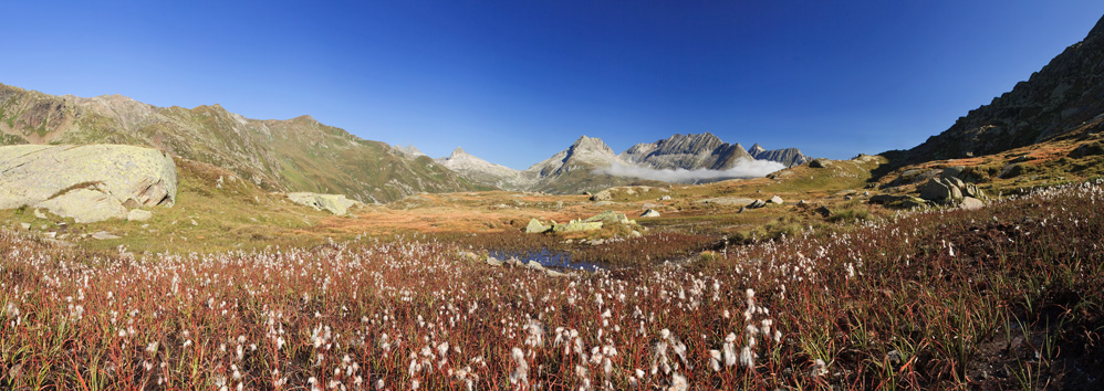 Oberalp Pano #23394