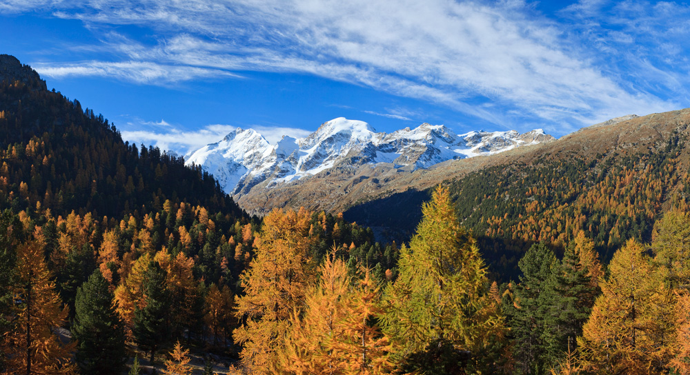 Morteratsch Pano #30737