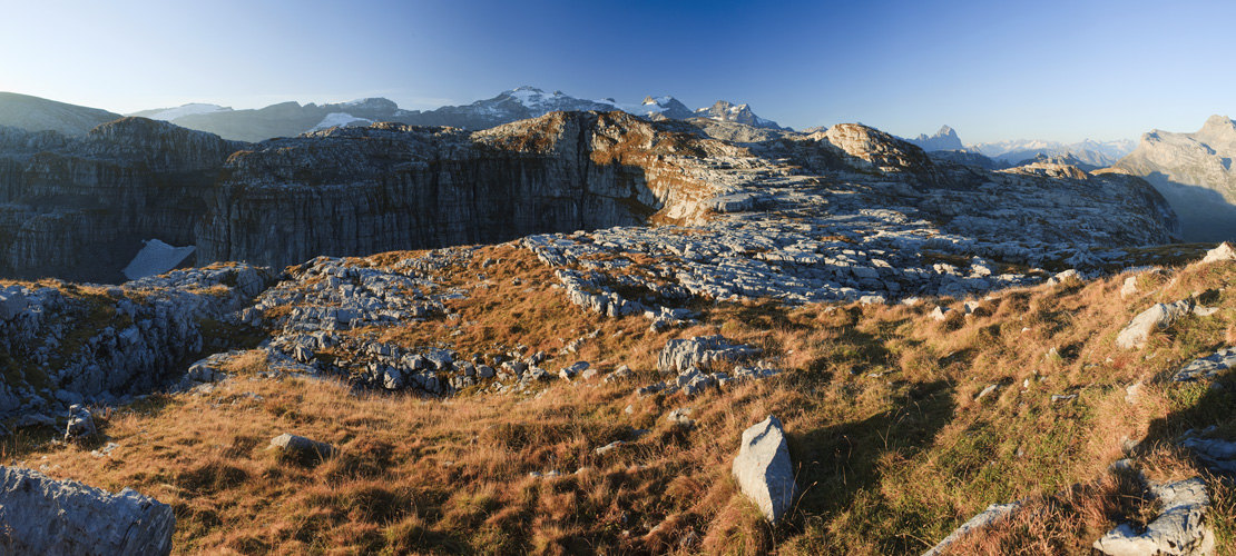 Mären Pano #24385
